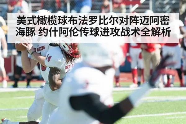美式橄榄球布法罗比尔对阵迈阿密海豚 约什阿伦传球进攻战术全解析 - kaiyun
