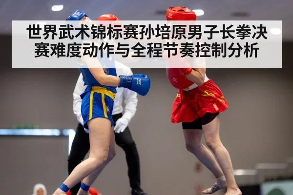 wushu martial arts competition